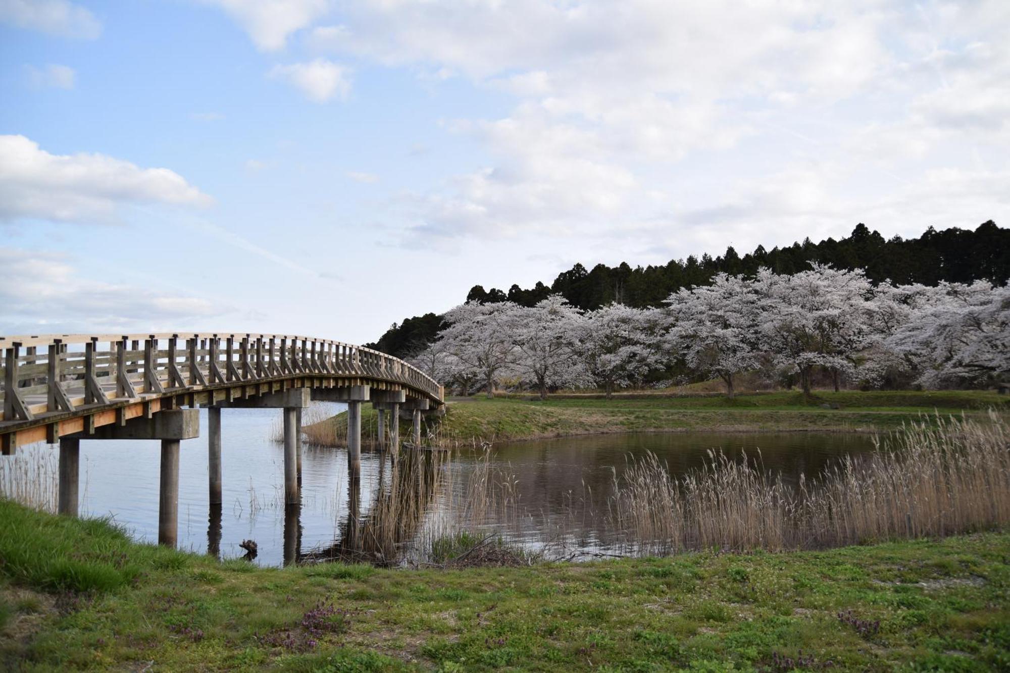 Shizugawa Minami Sanriku Hotel Kanyo מראה חיצוני תמונה
